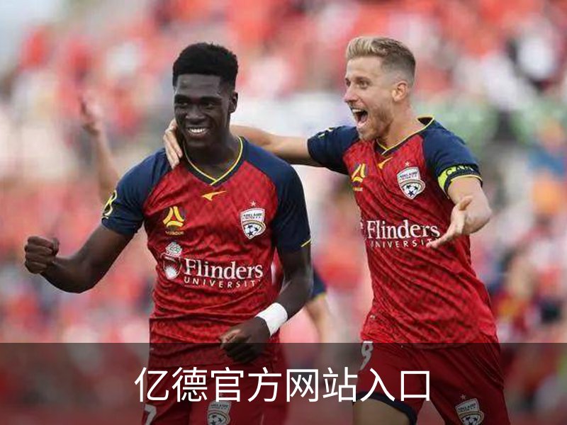 亿德官方网站入口简介